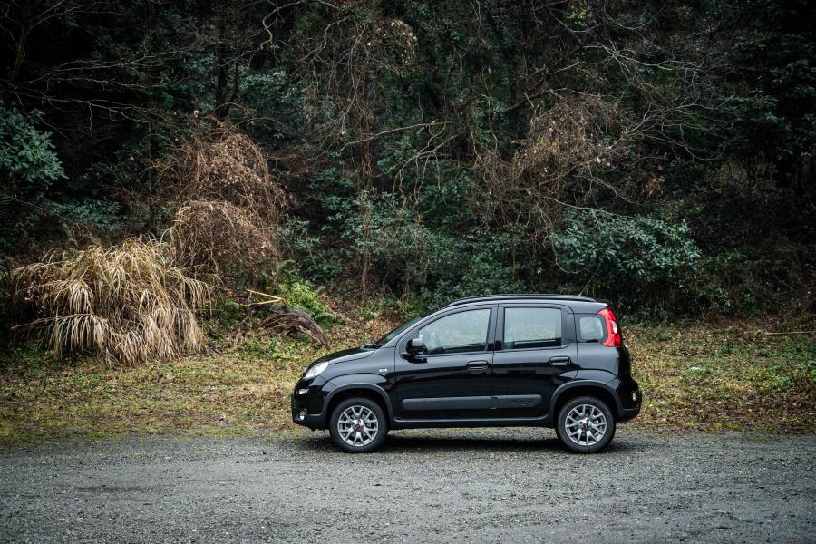  Fiat Panda 4x4 Foresta (319) 2018 года  (JP) (фото 13 из 14)